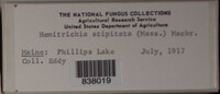 Image Associated With the Occurence